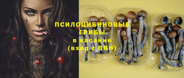 стаф Алексин