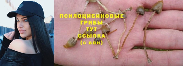круглые Алзамай
