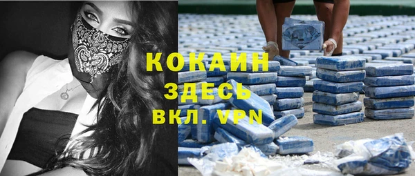 стаф Алексин