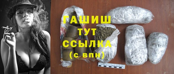 стаф Алексин