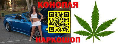крисы Малгобек